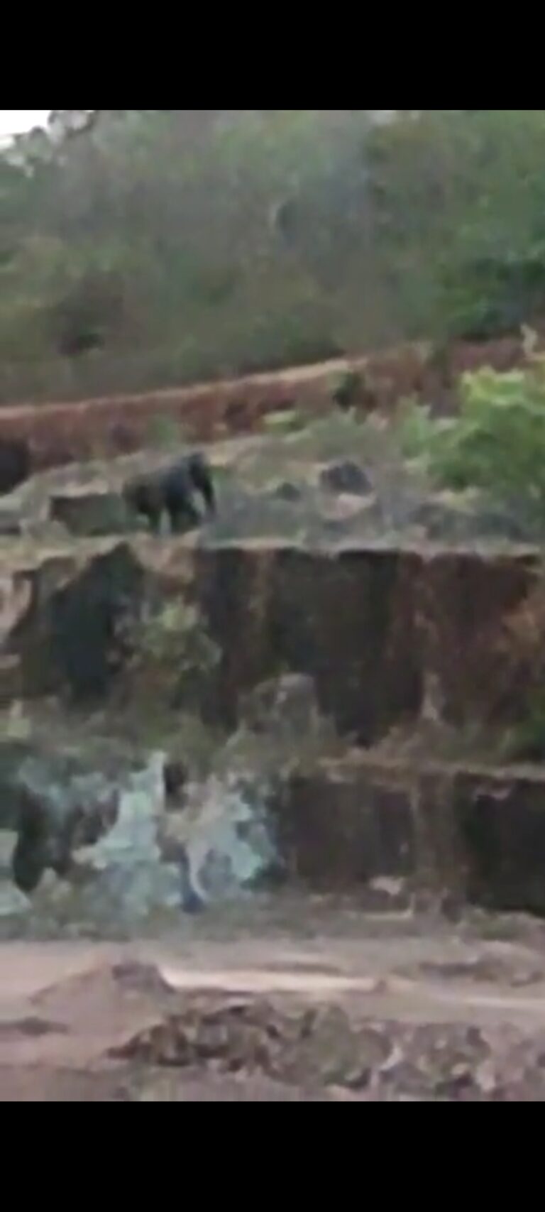 Screenshot_20220403_203145