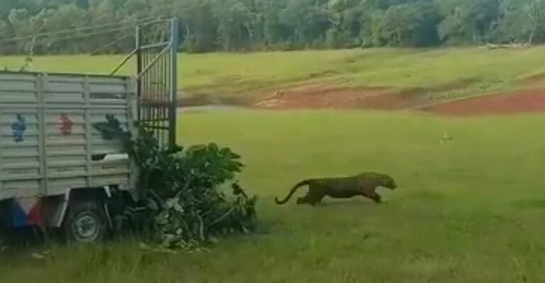 Screenshot_20220624_114116