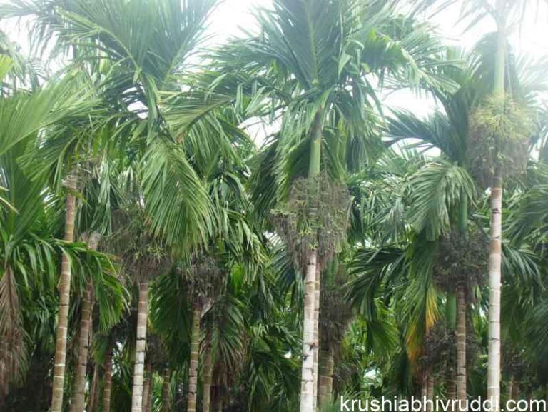 DSC02555-FILEminimizer