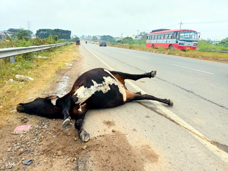 2c146325-086a-40ea-9937-438dacff2243