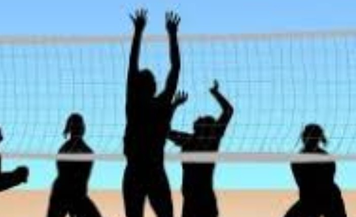 Screenshot_2022-12-30-10-45-03-640_com.google.android.googlequicksearchbox2