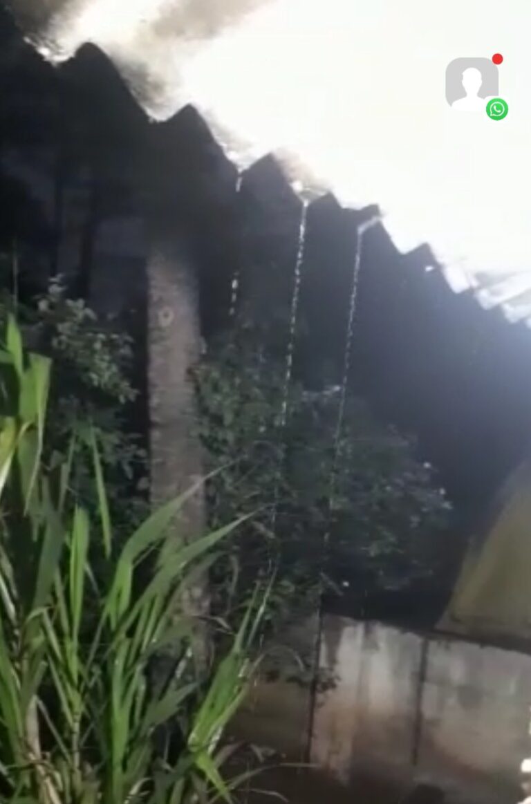 Screenshot_2023_0124_192405