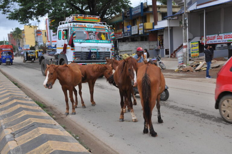 file76ijho1tf931ke1dn3kx1568734202