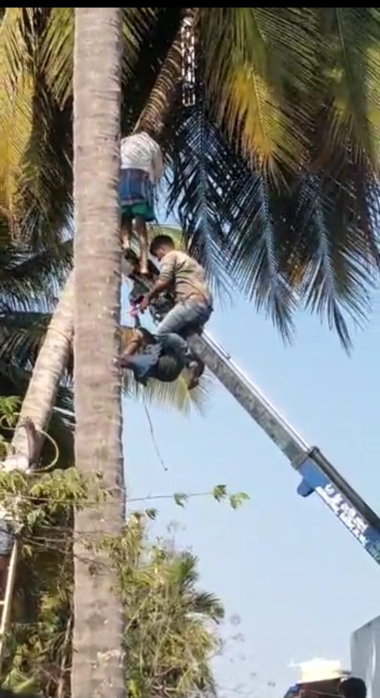 Screenshot_2023_0305_132118