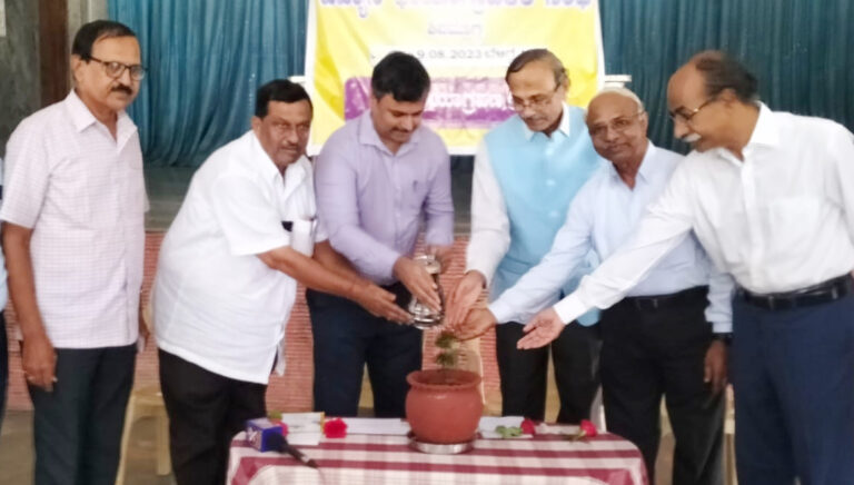 Havyasi Chayagrahakara dinacharane