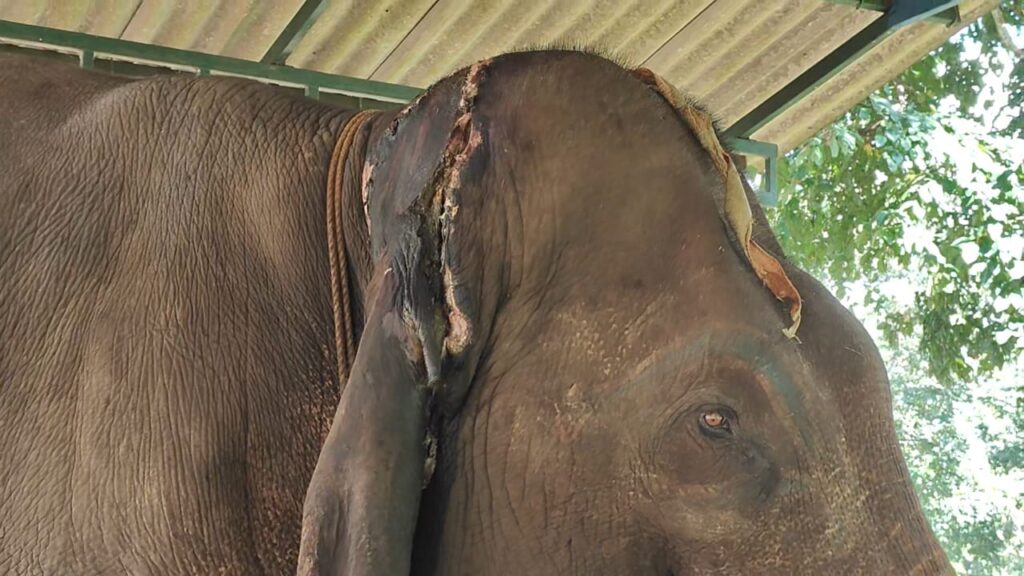 49e2fdc9-b5b8-42af-bf35-f29bf61daf53