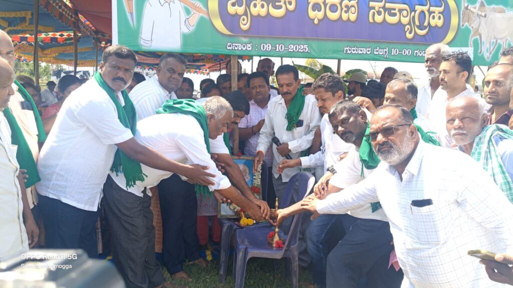 4bbf3f8e-cc23-4150-a3da-f63dc3a807ee