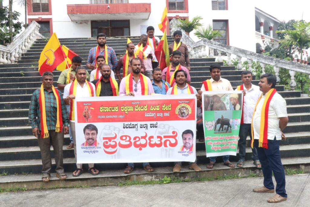 c1aa7c14-3df7-4ea0-91df-2fd2dee799cb