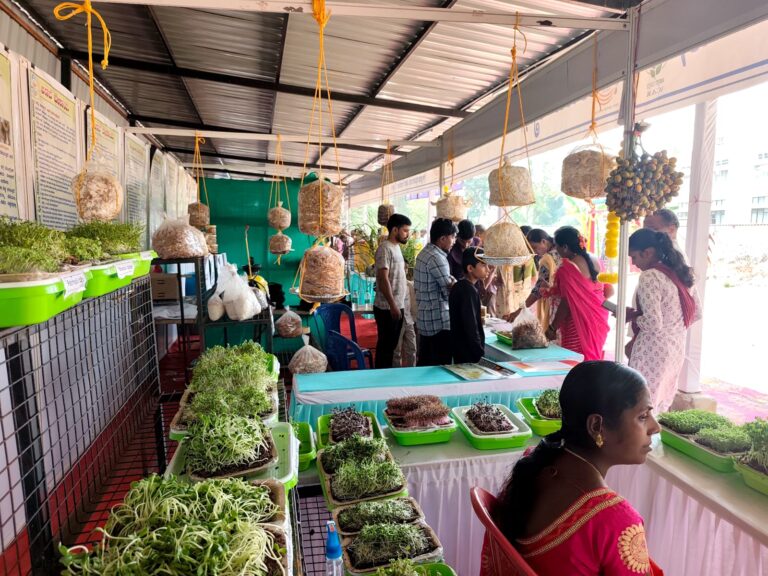 ba56b3ad-c3a6-459d-bbfc-585f852c9ceb