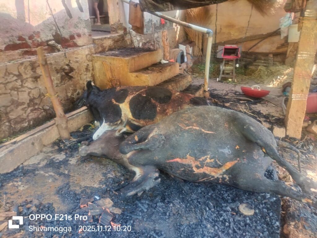 d4b5db39-a2f1-4d8e-b46b-ae7002662516