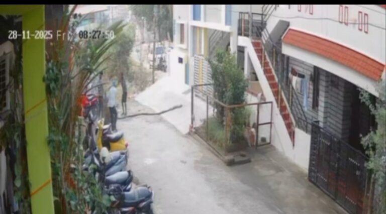 Screenshot_2025_1202_135253