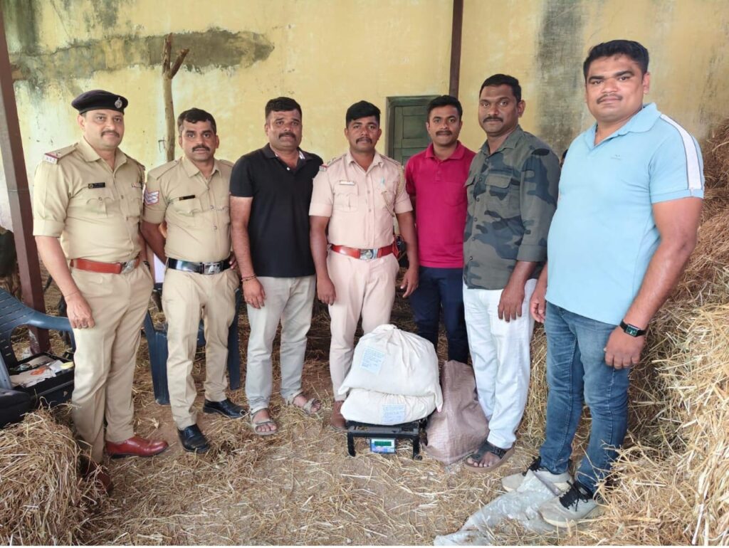 53ad752c-2a31-4b33-87f5-5c3e33cf2e42