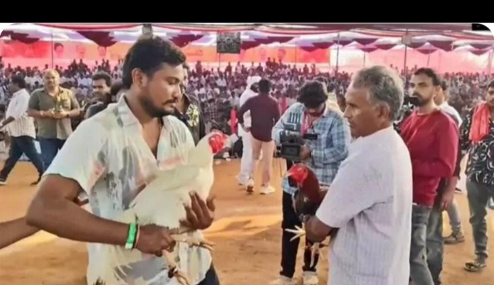 Screenshot_20260117_200807_WhatsApp