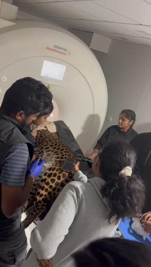 3ebfd1f8-4f33-4577-b047-0f3031d28e25