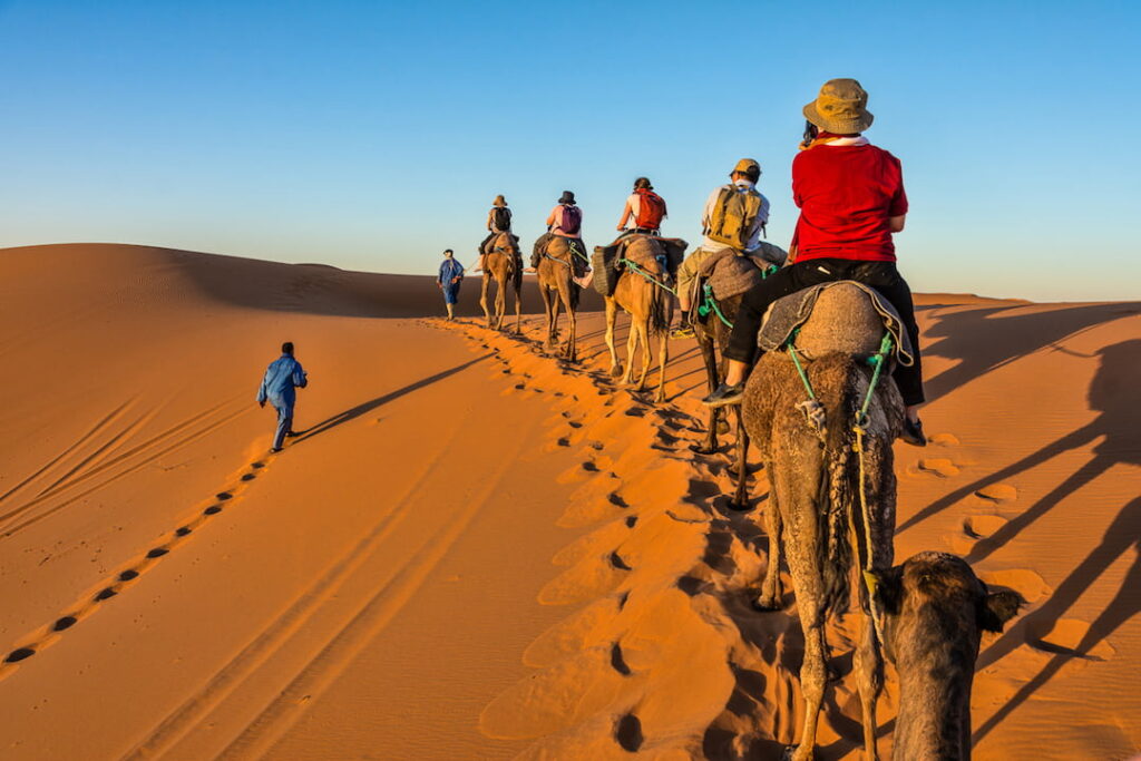 Camel-caravan-in-Sahara-Morocco-min