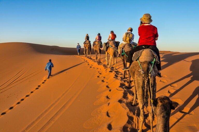 Camel-caravan-in-Sahara-Morocco-min