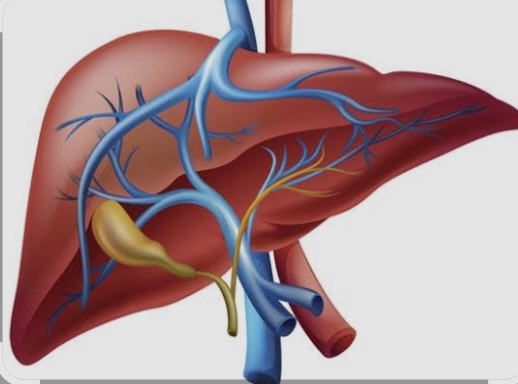 Screenshot_20260317_140531_Google